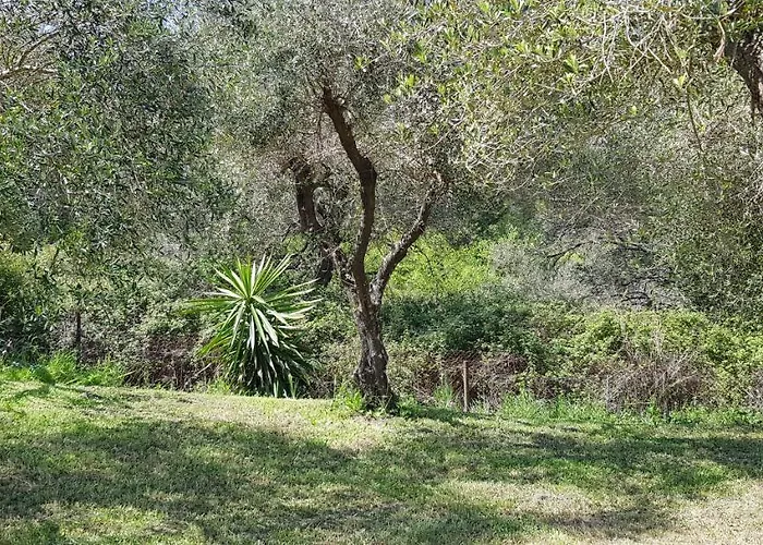 Kapella Vátos